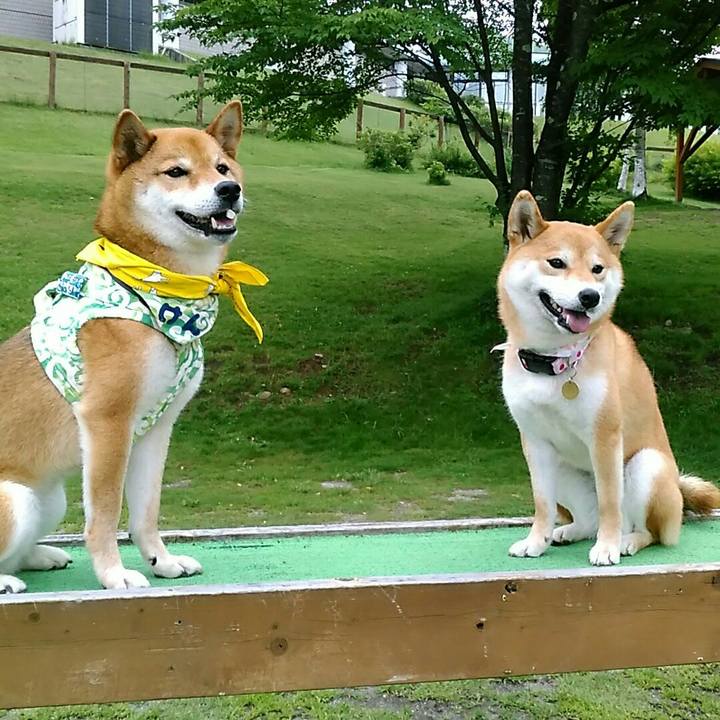 69571e50 8412 4551 a536 c4640ca9a5d3 1562418423834