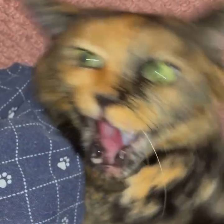 69578238 711d 477a 8b32 5f6d2b3eef95 1789480153891