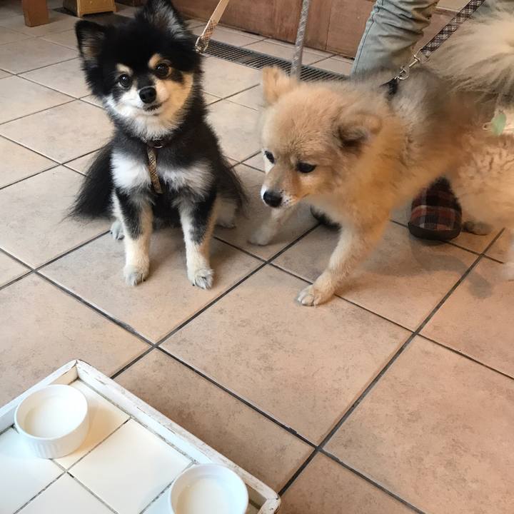 6957cbb3 89cf 4f10 80a1 711c84e39321 1581946393504