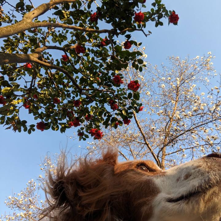 6957d73f 9e8a 46db 89be 8454fcd62d2d 1678784704281