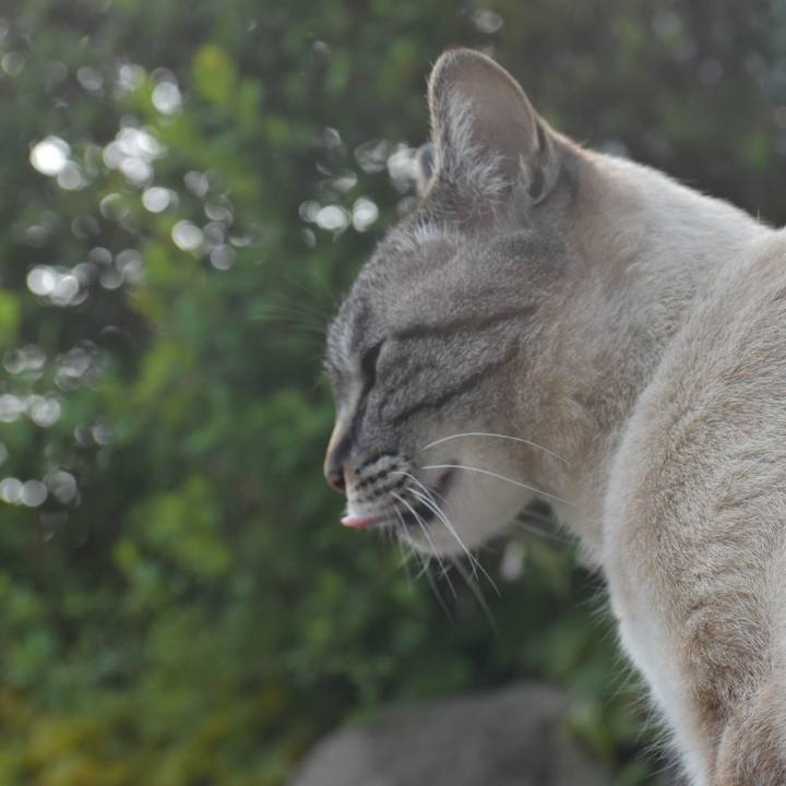 6957dfb7 dc33 4d06 96d9 0b35af04f53b 1554021894782