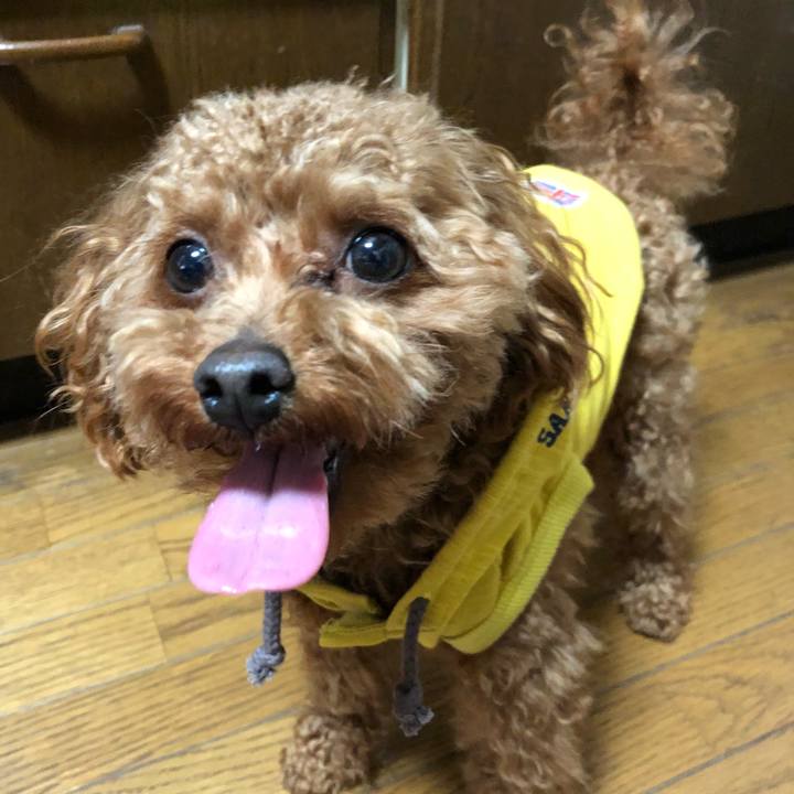 6957ec51 56ac 4b80 a90a 52b10b2bfd2d 1523668205799