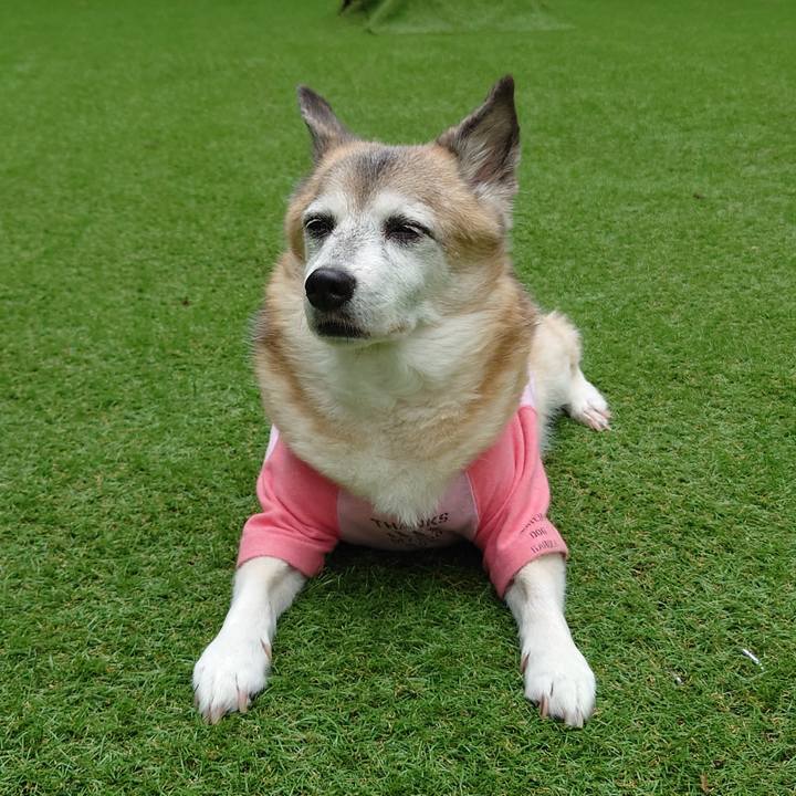 6957f0a4 3711 4dfd bede 81c676f97bd9 1695293990889