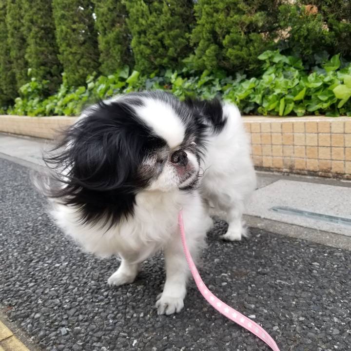 69582356 d236 412c 87cc 545c75335911 1557135509141