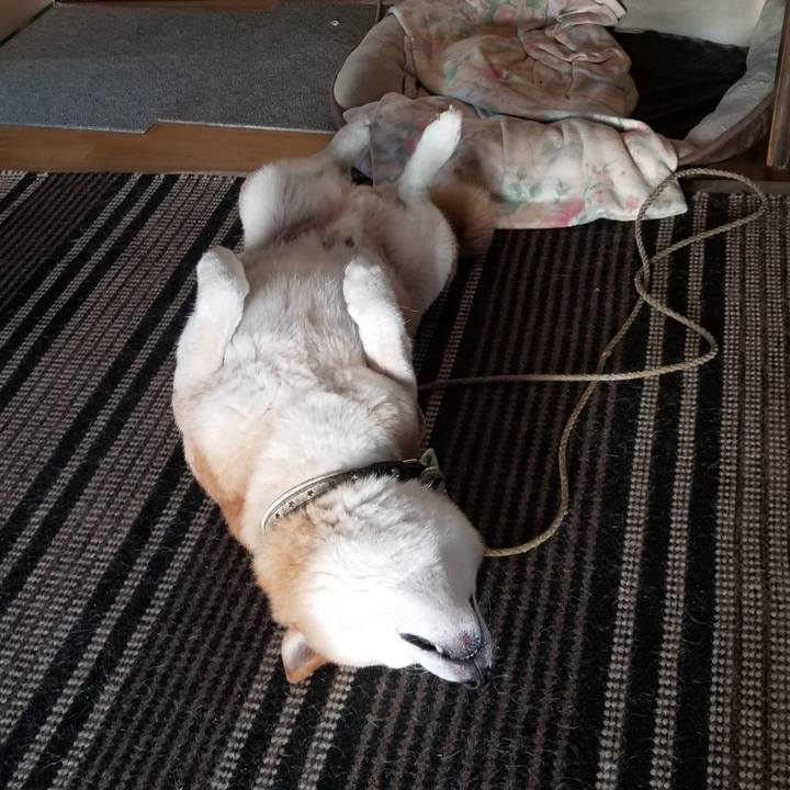 6958502e 2e30 4100 b7c8 6946718ddb5a 1693437091047