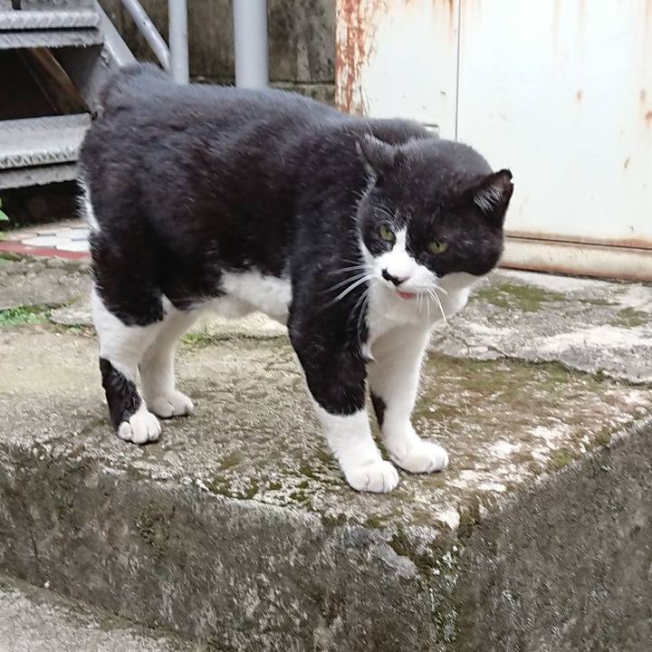 69586812 9e09 4ae8 8486 76f6bad934a6 1623573976632