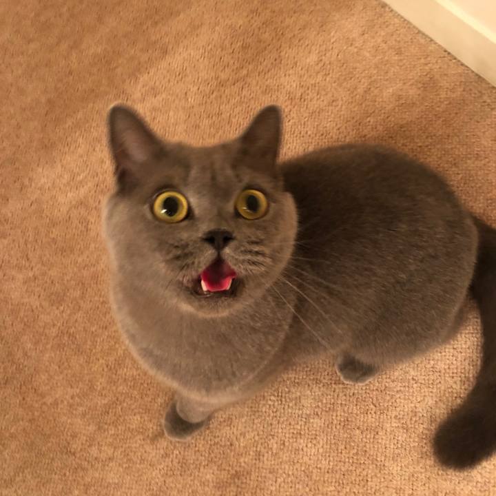 69586d95 7c01 418d a0c0 00b91ad6b75e 1535713723571