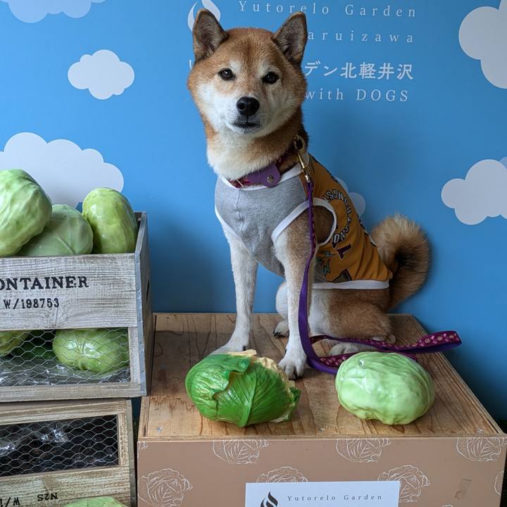 69587b40 0ab0 4603 bdb2 0c61722919dc 1728272494292