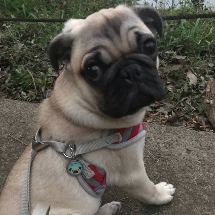 69588664 62d8 4519 9296 557410bc1516 1539427489922