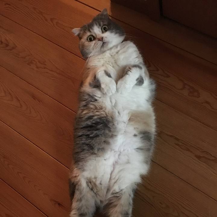 6958975e cd52 41a1 91c6 f61c18566a4a 1550011318426