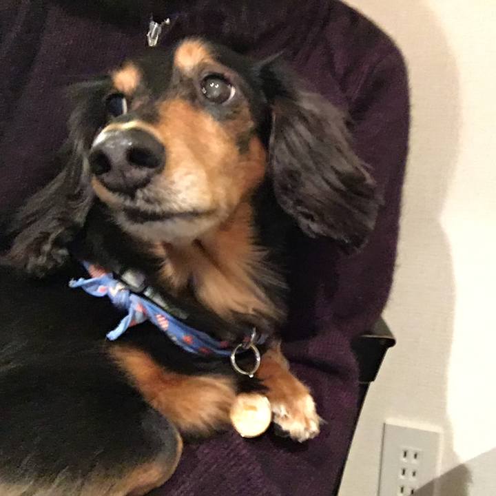 6958a762 8a0b 4dbe a20a 48c86ce71731 1519649902770