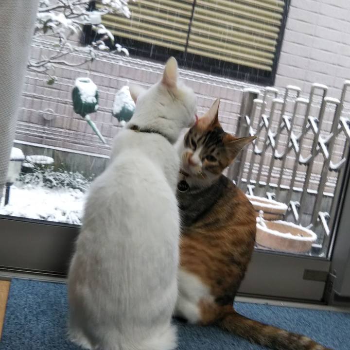 69592c2a 2aa6 4ade a5dd df6ffb677e4b 1641450706770