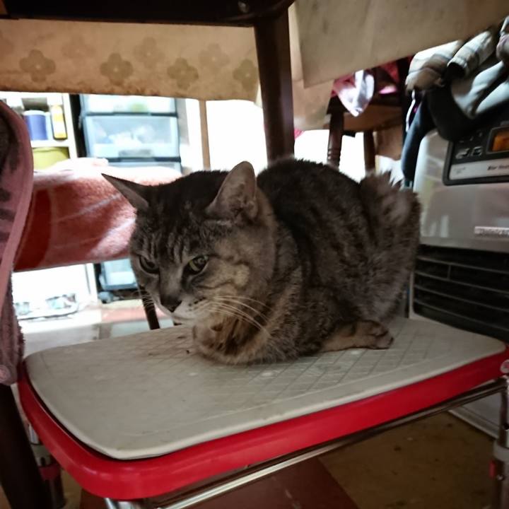 69594f1e b10f 44f7 ac7e 84fdf5adccae 1590353493282