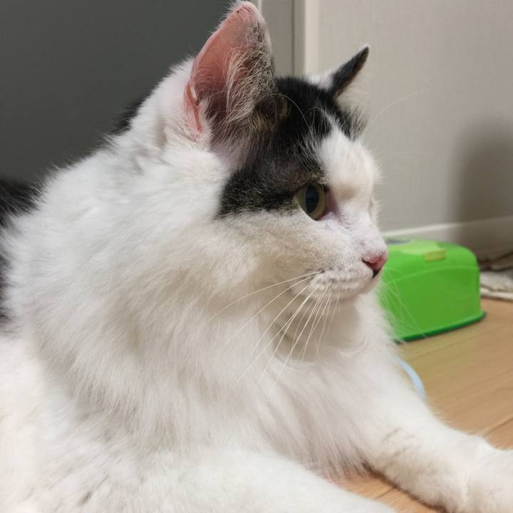 695957dc 6501 41ad 818e 9c045d081204 1534505825299