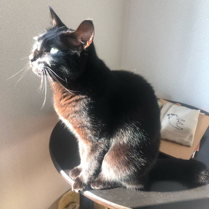 695963c9 517f 4ea0 9f2c 23abc452926c 1637376125278