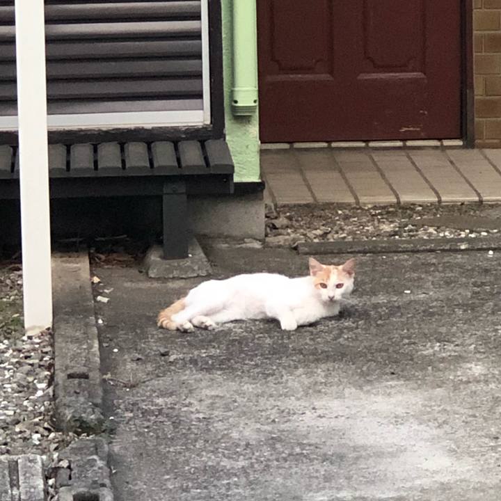 695985b6 e29d 409e 9eb4 e7cf6be575b7 1589189540371