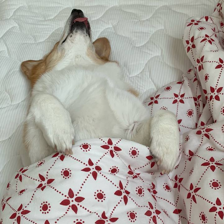 69599e5b 41b5 4cf0 b3c2 d512856febbd 1684123205246