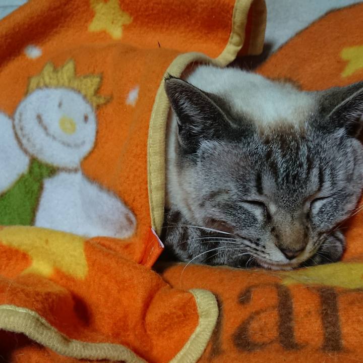 6959b5b3 4dc9 4bef 99ee 8327e3e07f8e 1556584713772