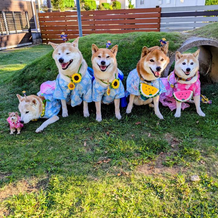 6959bb2c 8da1 45e1 987c ff34862d2d71 1755912196199