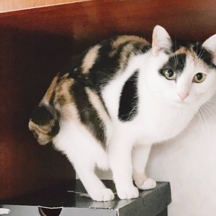 6959d85e 1e1d 4a6f ab11 c3c23b00c298 1555209836787