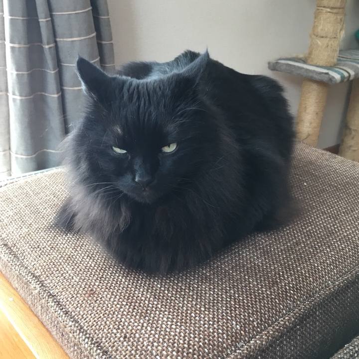 695a0ef0 91e9 406c a704 a015c0e93646 1548671717748