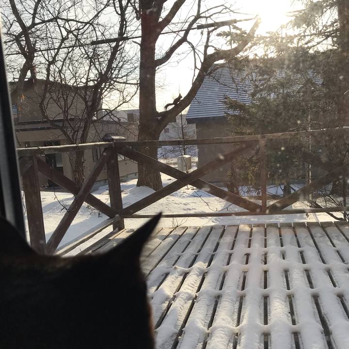 695a120e 5eb7 408a b4e8 b8c623117d05 1578786600212