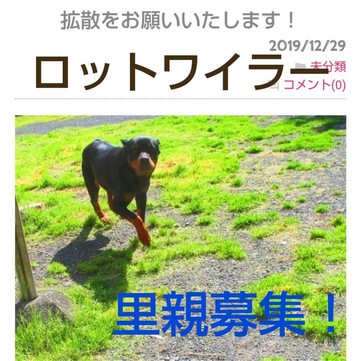 695a2f09 9a69 4e7e 81e3 e67778f6fe55 1577638871271