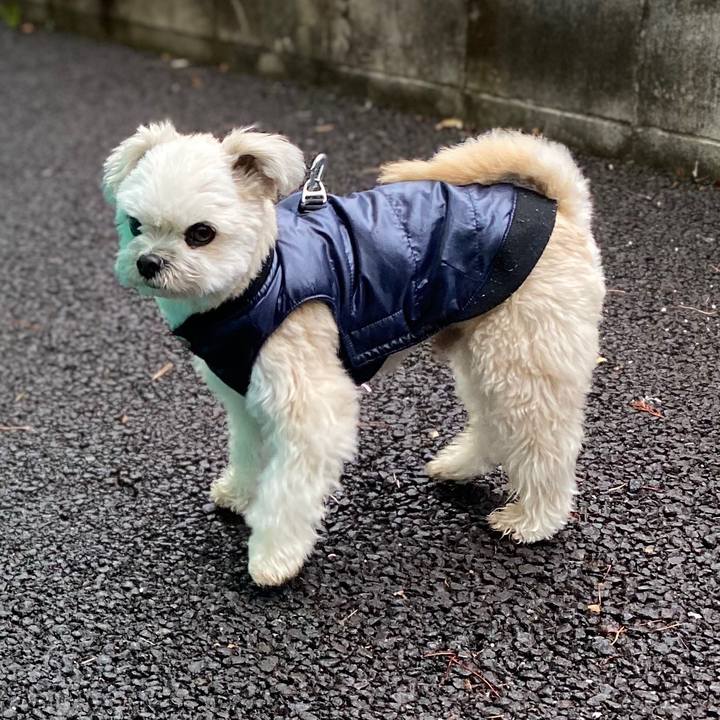 695a3d41 e2e0 4784 9e1d f7af7e969b15 1585740997486