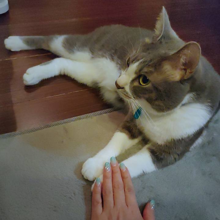 695a9d8d d57f 453e be8d 929f65a5b310 1654868874150