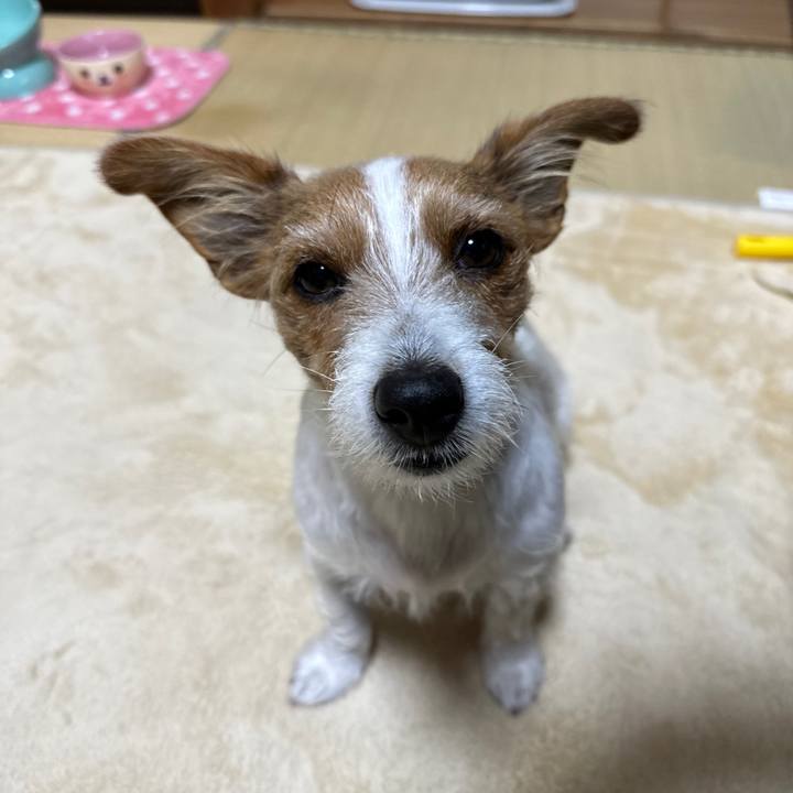 695aa848 f442 4aa8 9a4d 97ee3d902bb0 1764124040326