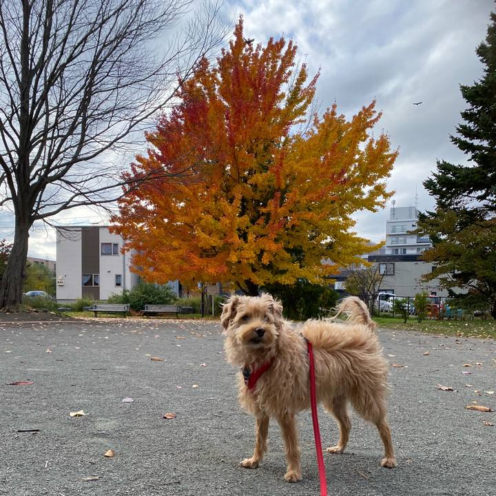 695aae26 bb57 461e b2cc 2925e1d40075 1698562142672