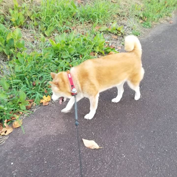 695abe87 1978 4cbf 95a9 2b1e718249b3 1725956593927