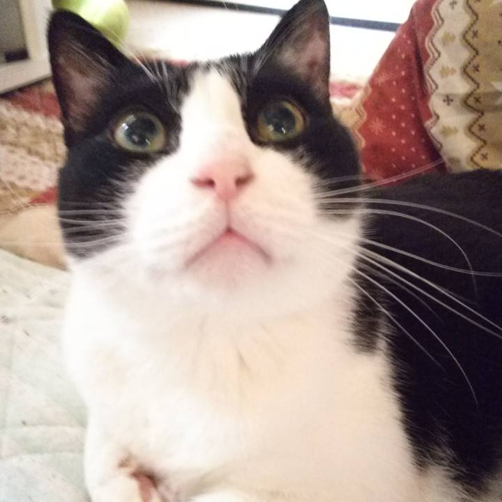 695b7b0a e6a5 4d01 b8f2 3f0161a04692 1556500691331