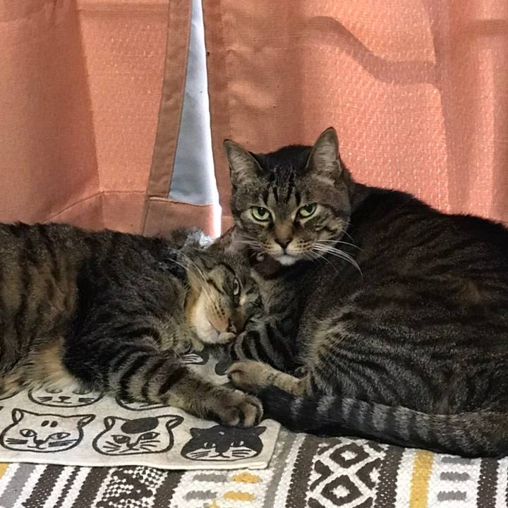 695b83e6 1e42 4bb5 8e25 b2b63b6da489 1590353078610