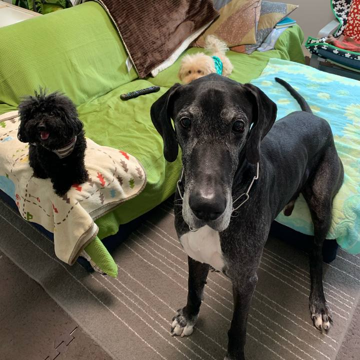 695b8d43 4bfd 4804 b746 82e40dcec5c6 1588554258097