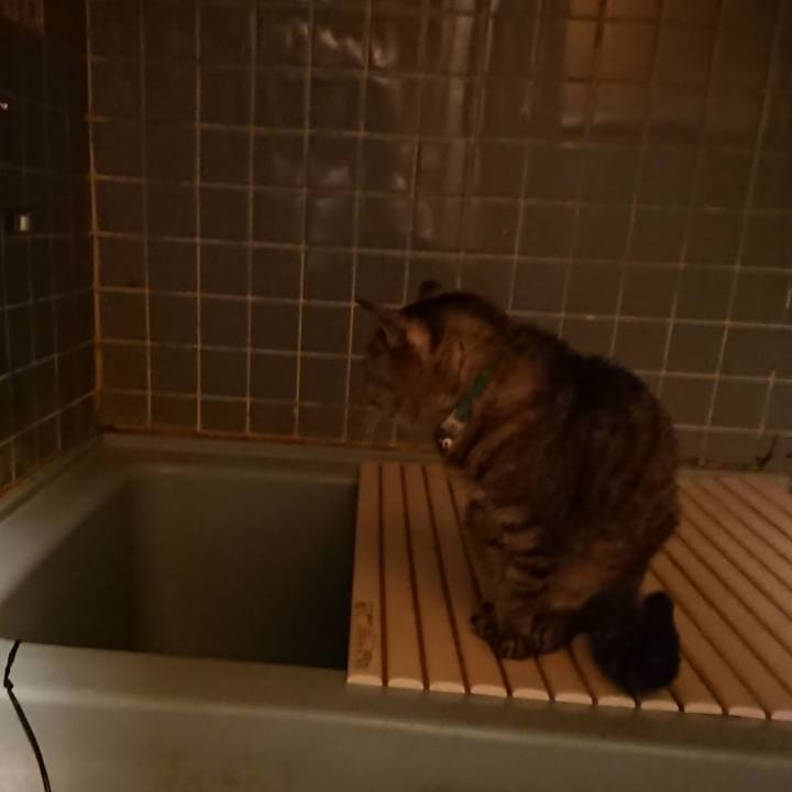 695bcf81 18db 47fa 9f48 bce876f885a8 1571995540155