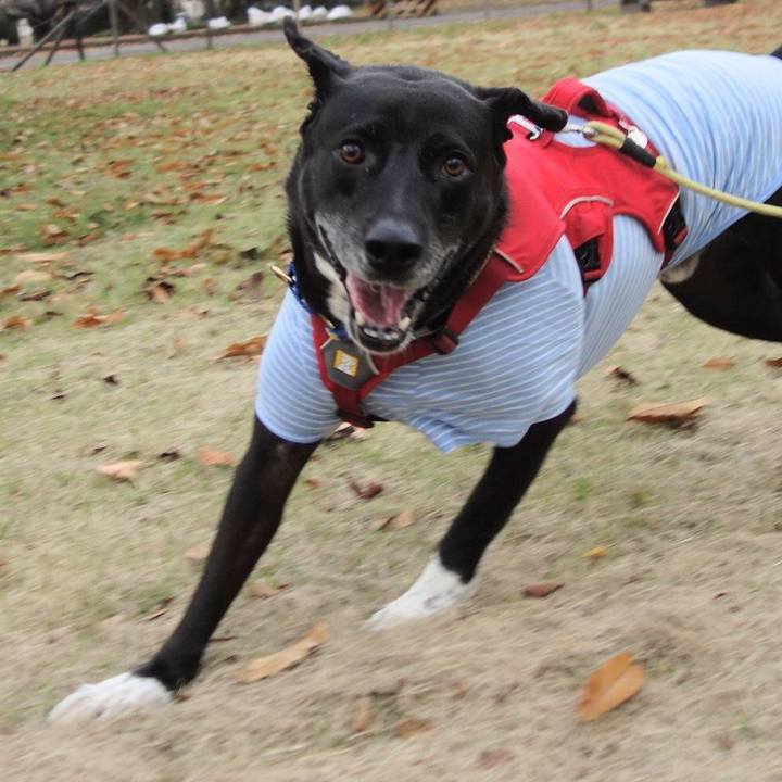 695bd999 5ce8 44a9 85b9 da79d3156e06 1669946550565