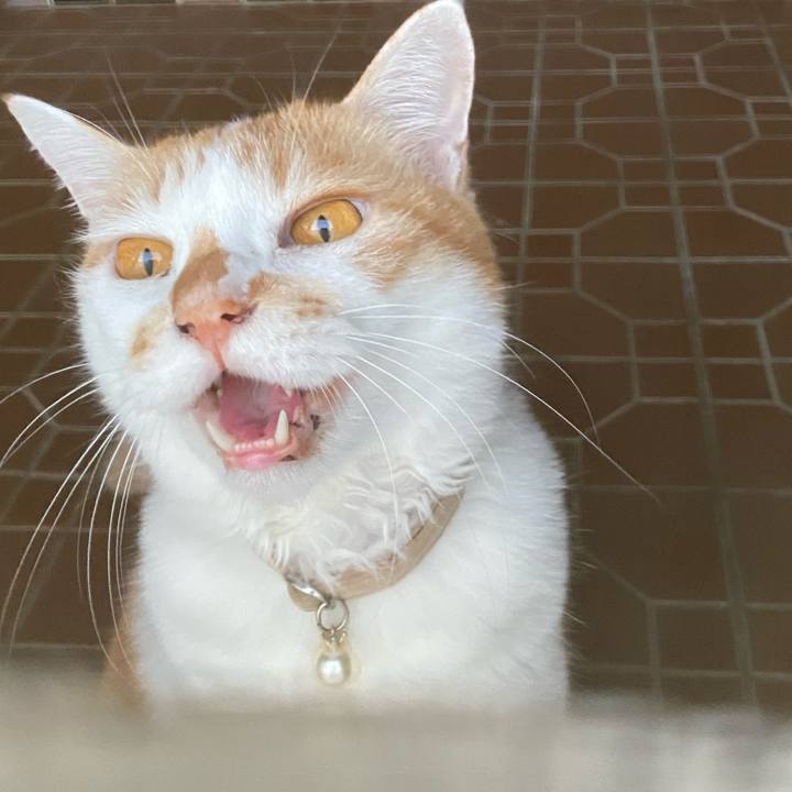 695be55c 6ca1 407f b9f1 bb1dd356dad4 1759999297652