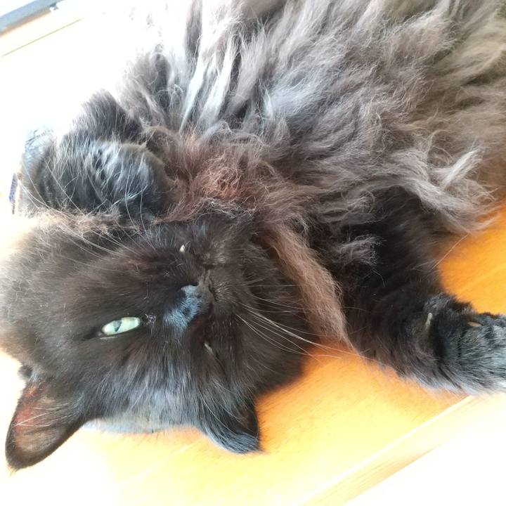 695bf035 76ed 496c 8ec4 b963360be50e 1633130854186