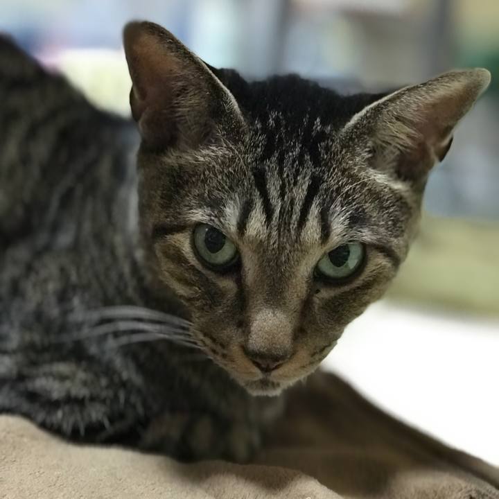 695c47d1 bf7c 4de8 b77a 252e6d009a2a 1508117139745