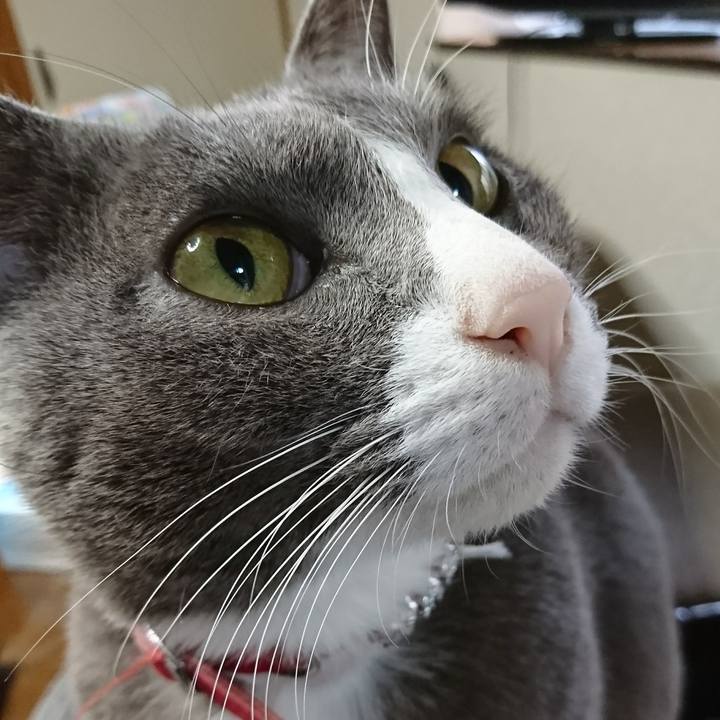 695c7f0c c433 4aec a095 9fd7c6fcbd1d 1511566324987