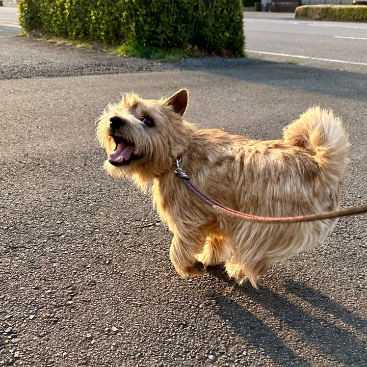 695c8764 adbb 457a 9dcc 46549d0c9d23 1742707552933