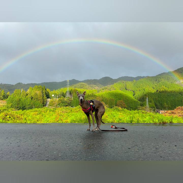 695c8948 be06 4c5e 8bfe 665673519fad 1761451282450