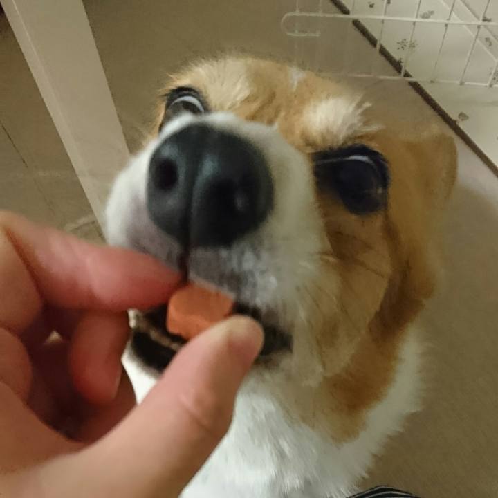 695ca43d 7d32 4952 b21a 02d143063982 1543566532607