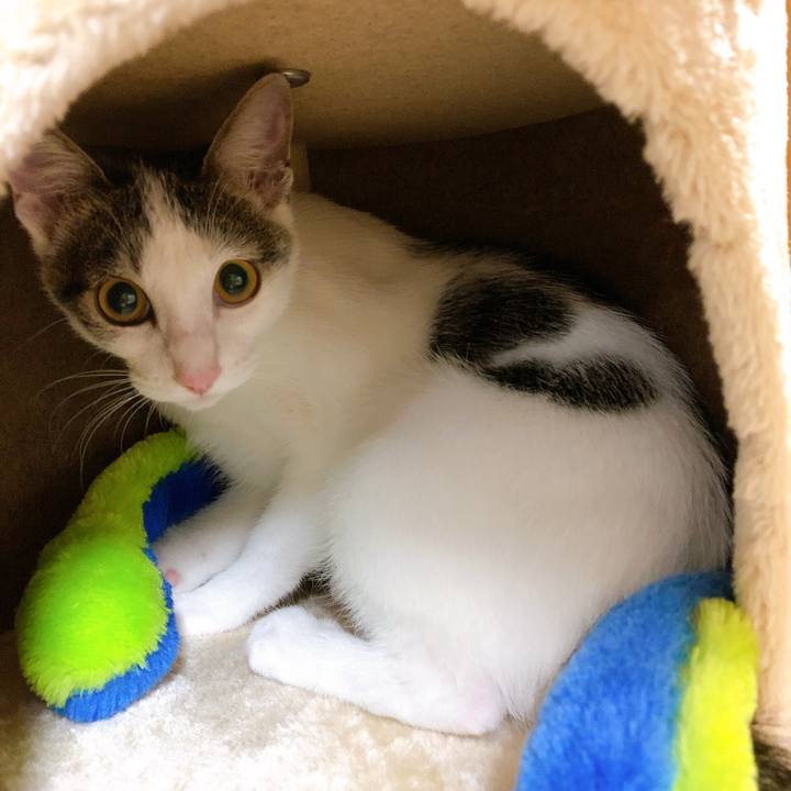 695cbd2f 5316 4208 906b 49bc185b43c0 1571578167350