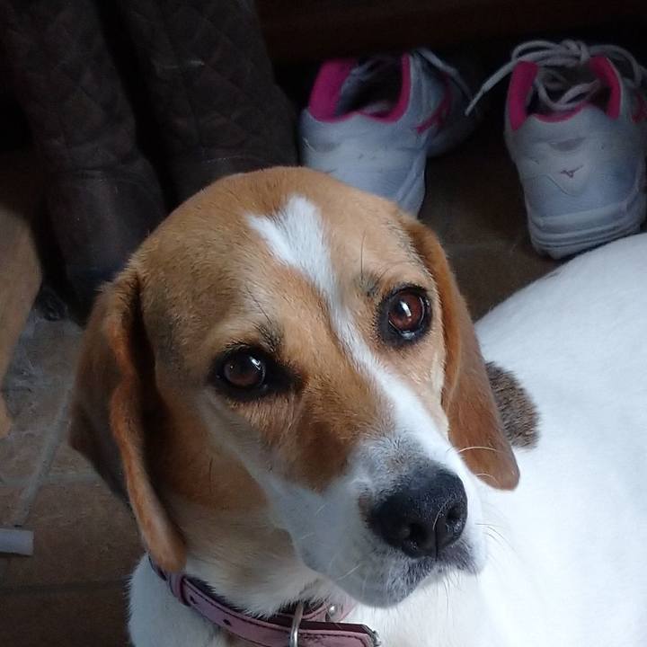 695ccb20 45e1 4ef9 a4d2 5c6ecd7b31c5 1596462309875