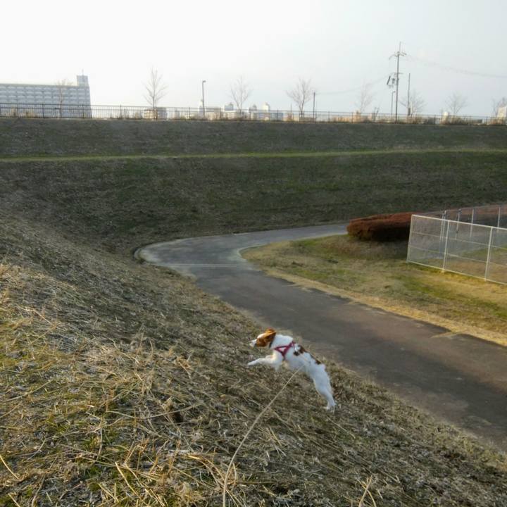 695d3603 9a55 4154 a806 e4205a1a5ca6 1548245806184