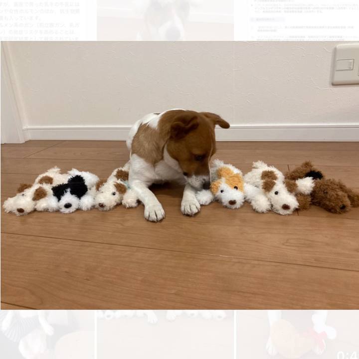 695db10e 2182 4102 9b1b a80ff46b99ba 1638183628072