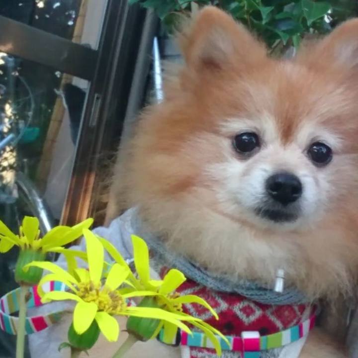 695dbe78 edc1 49a2 80a8 01bed553ba81 1541237833444