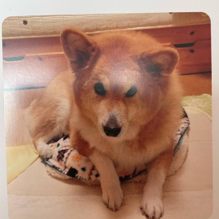 695dcdc1 c57a 4db6 8a4d 145bc5ecf3dc 1612256336016